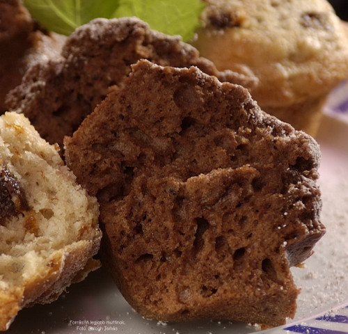 Muffin - Rumos
